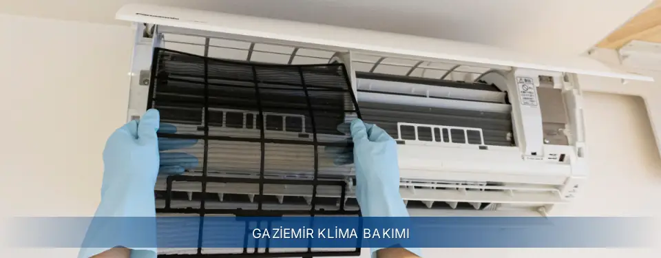 Gaziemir İlçemi Electrolux Klima Bakımı