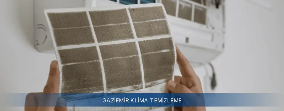Gaziemir İlçemi Electrolux Klima Temizleme